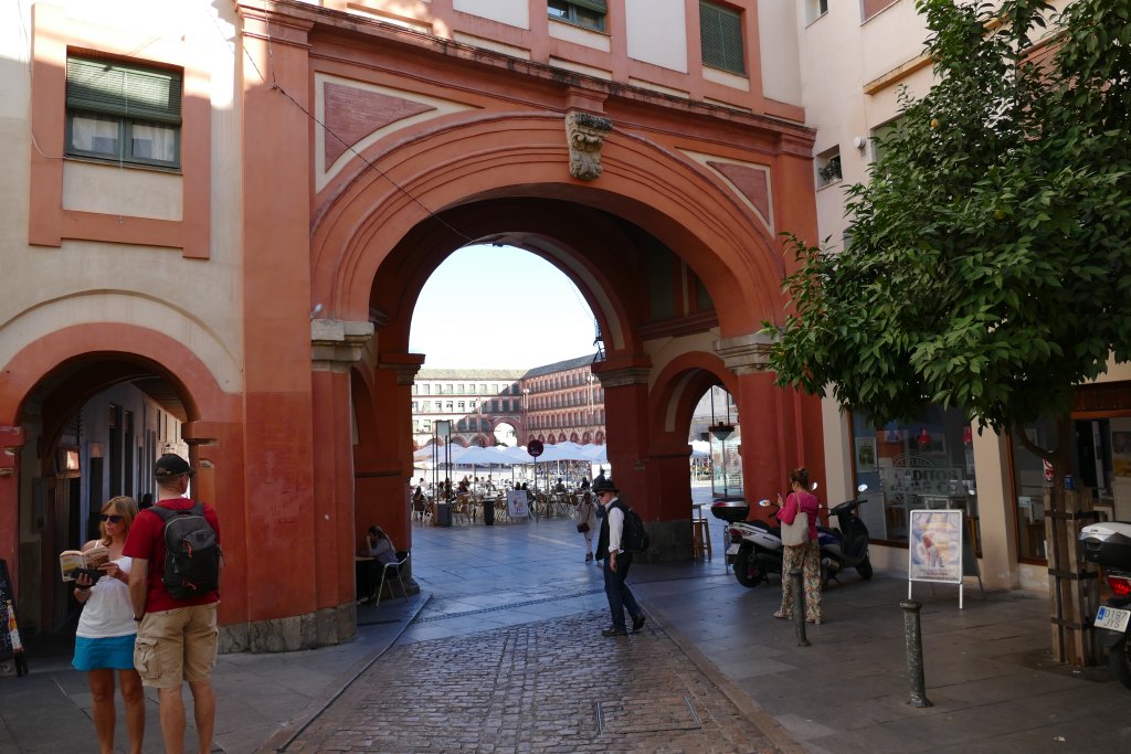 P1180488