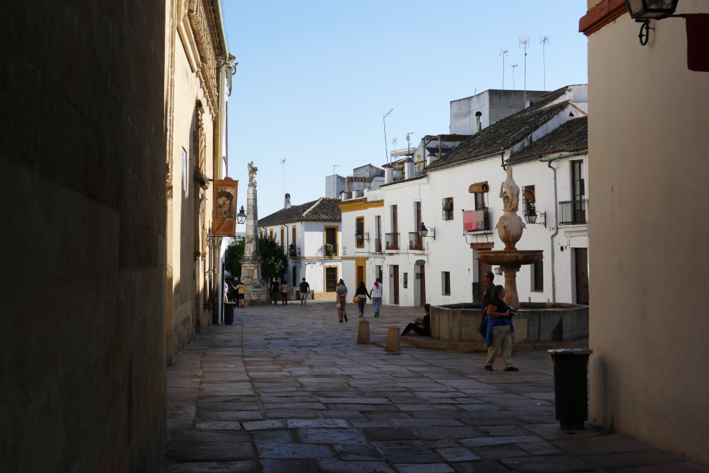 P1180516